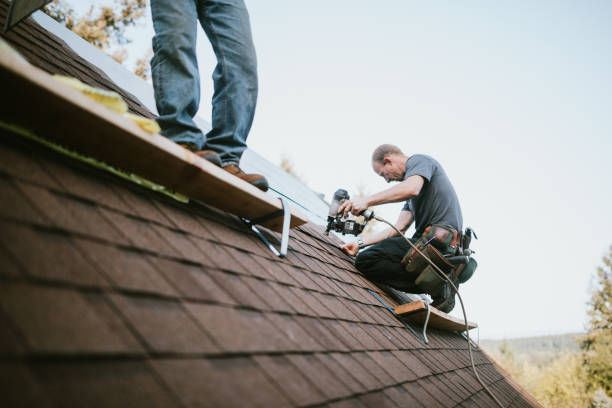 Trusted Berkeley, IL Roofing Contractor Experts